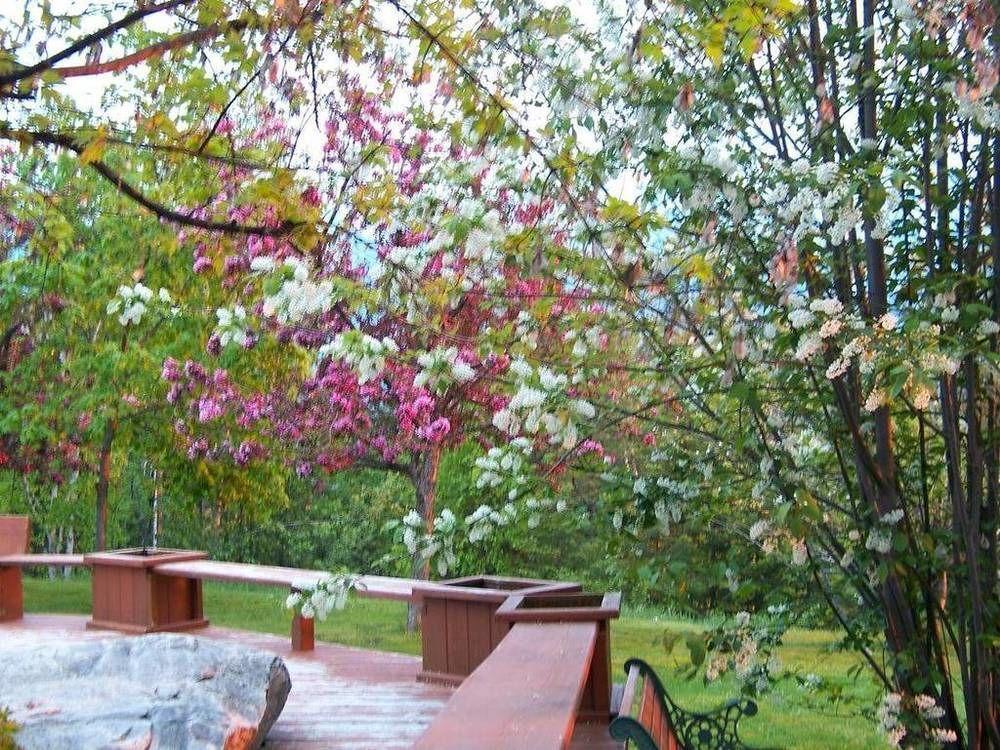Kapristo Lodge Golden Ngoại thất bức ảnh