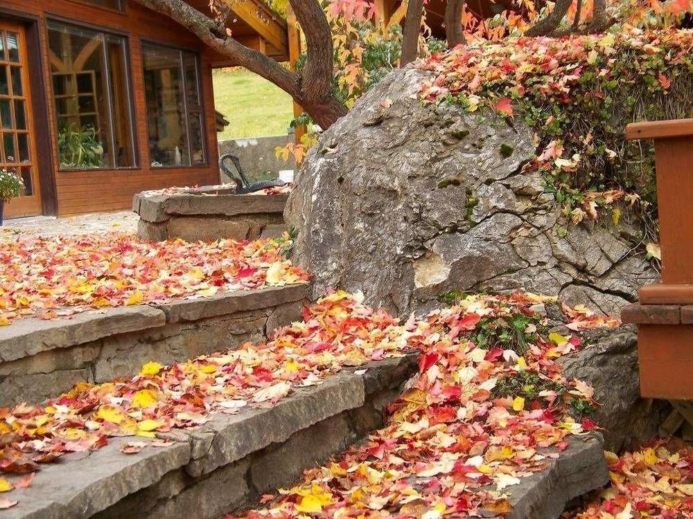 Kapristo Lodge Golden Ngoại thất bức ảnh